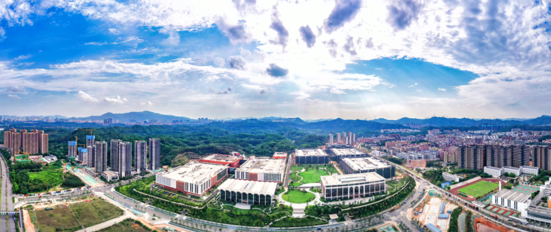 龙华：一座数智化城区正拔节生长